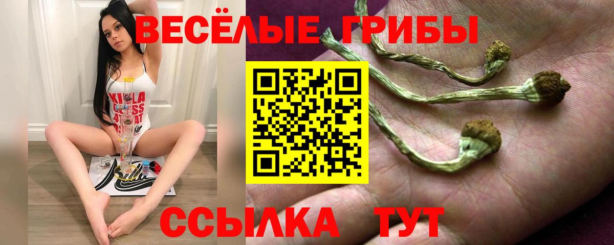 Галлюциногенные грибы ЛСД Можайск